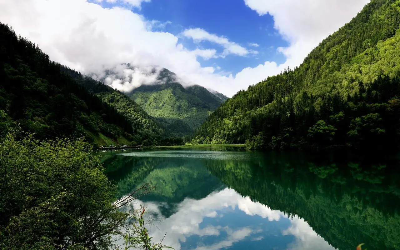 发热电缆和水地暖哪个好
